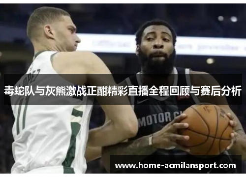 毒蛇队与灰熊激战正酣精彩直播全程回顾与赛后分析