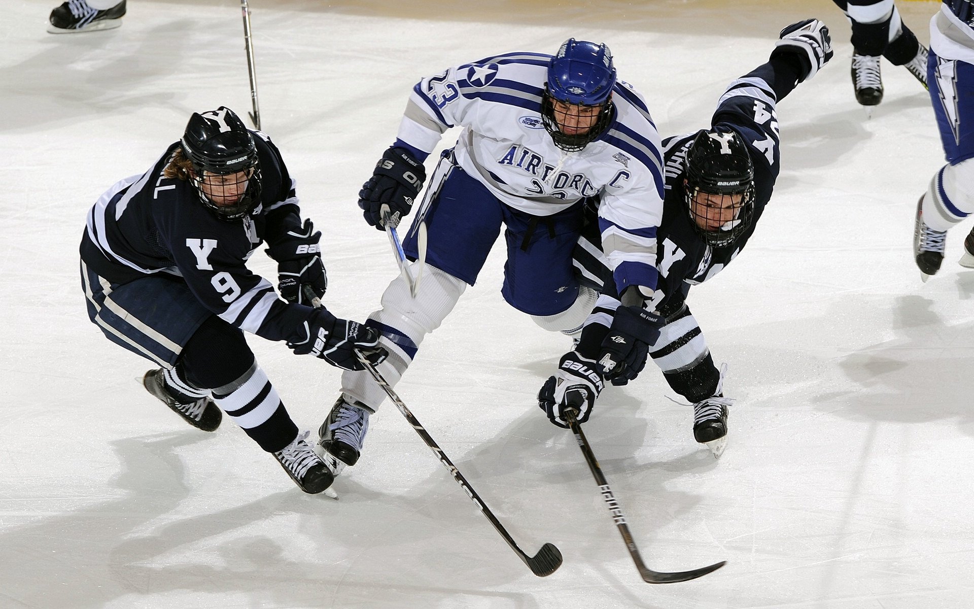 球队凝聚力：从逆境中成长的故事激励人心，篮球团队凝聚力